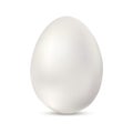 Realistic white chicken egg. Royalty Free Stock Photo